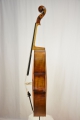 Violoncello 